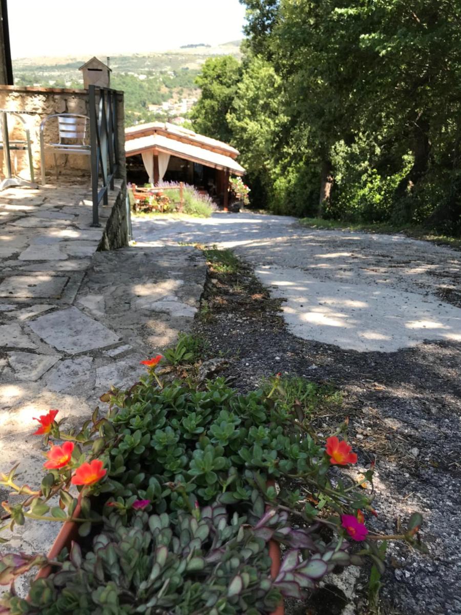 Country House Antiche Dimore - Housity