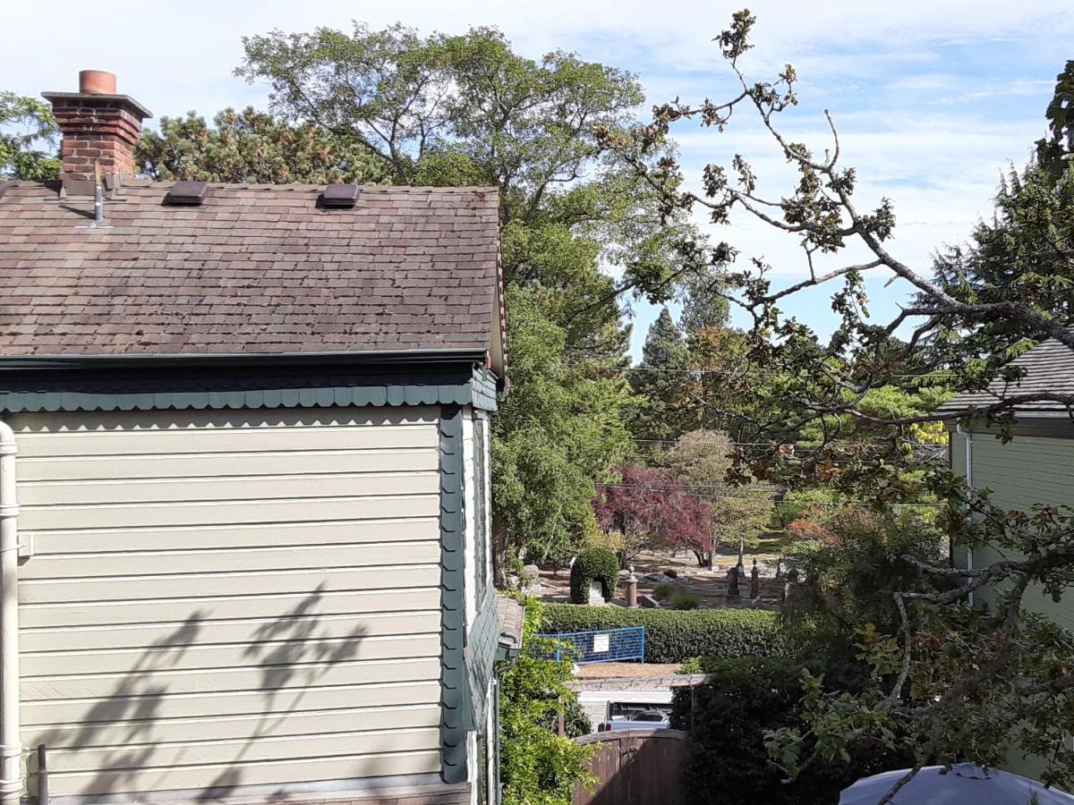 Sea Birds Cottage - Housity