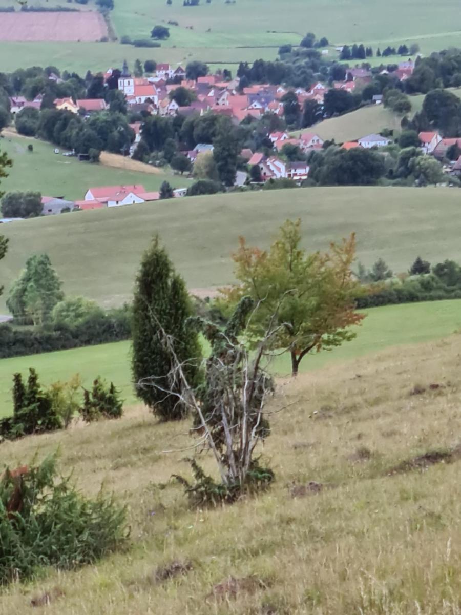 Suitetrails - Ferienwohnung 