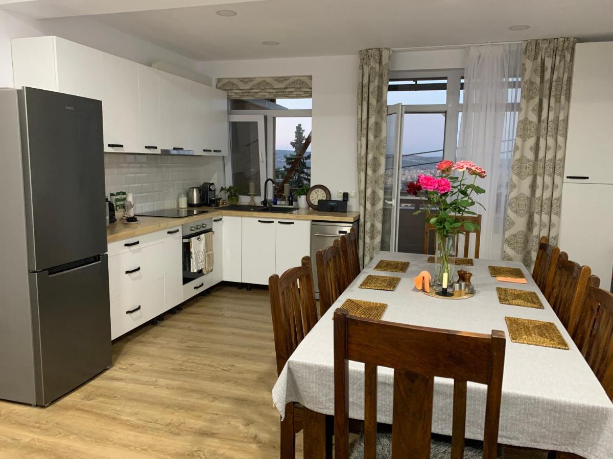 Dana House in Central Cluj - Housity