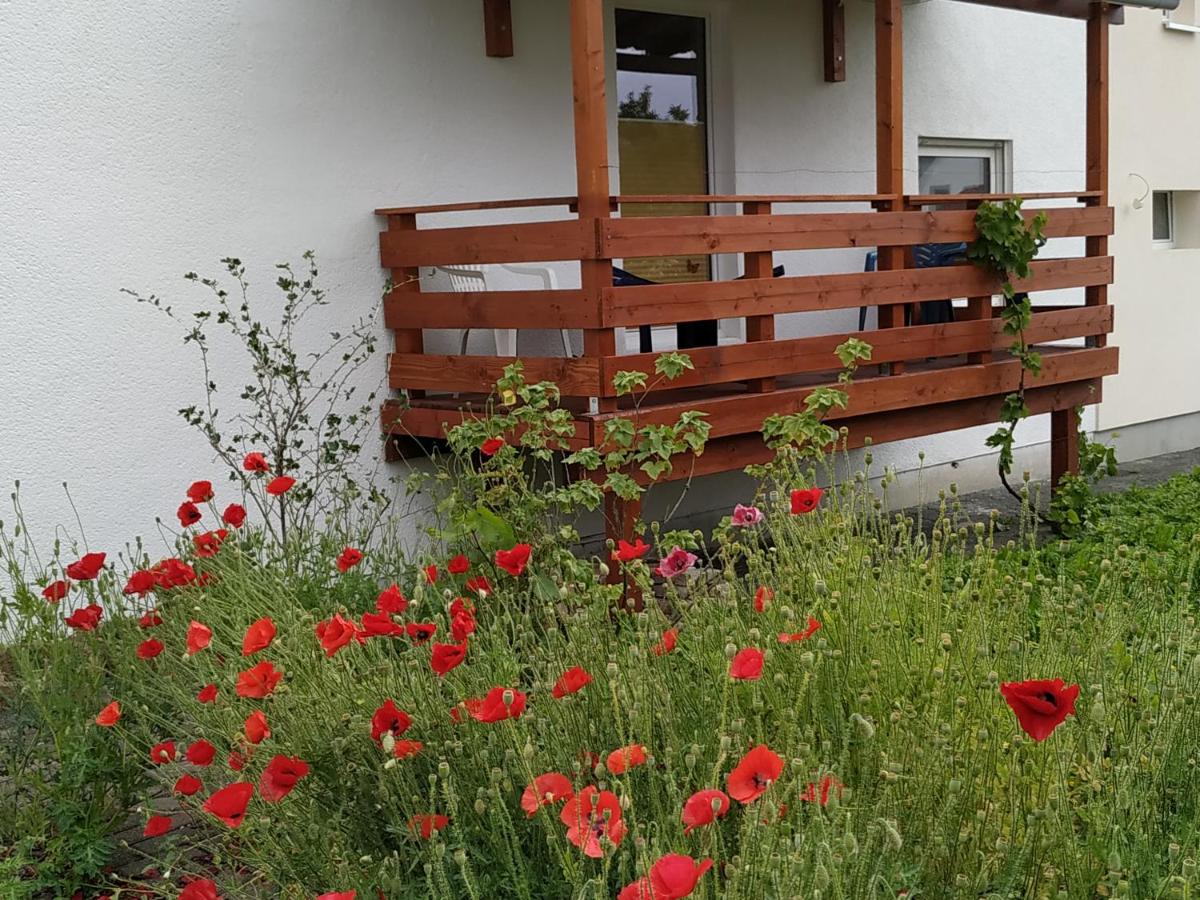 Ferienwohnung Frechenhausen - Marburg Biedenkopf mit 5 Zimmer - 2 Küchen - 2 Bad - Housity