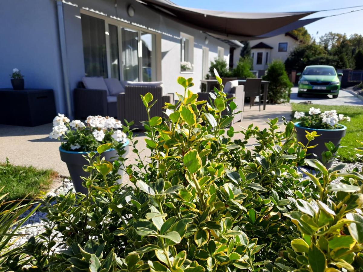 apartmán Ela - Housity