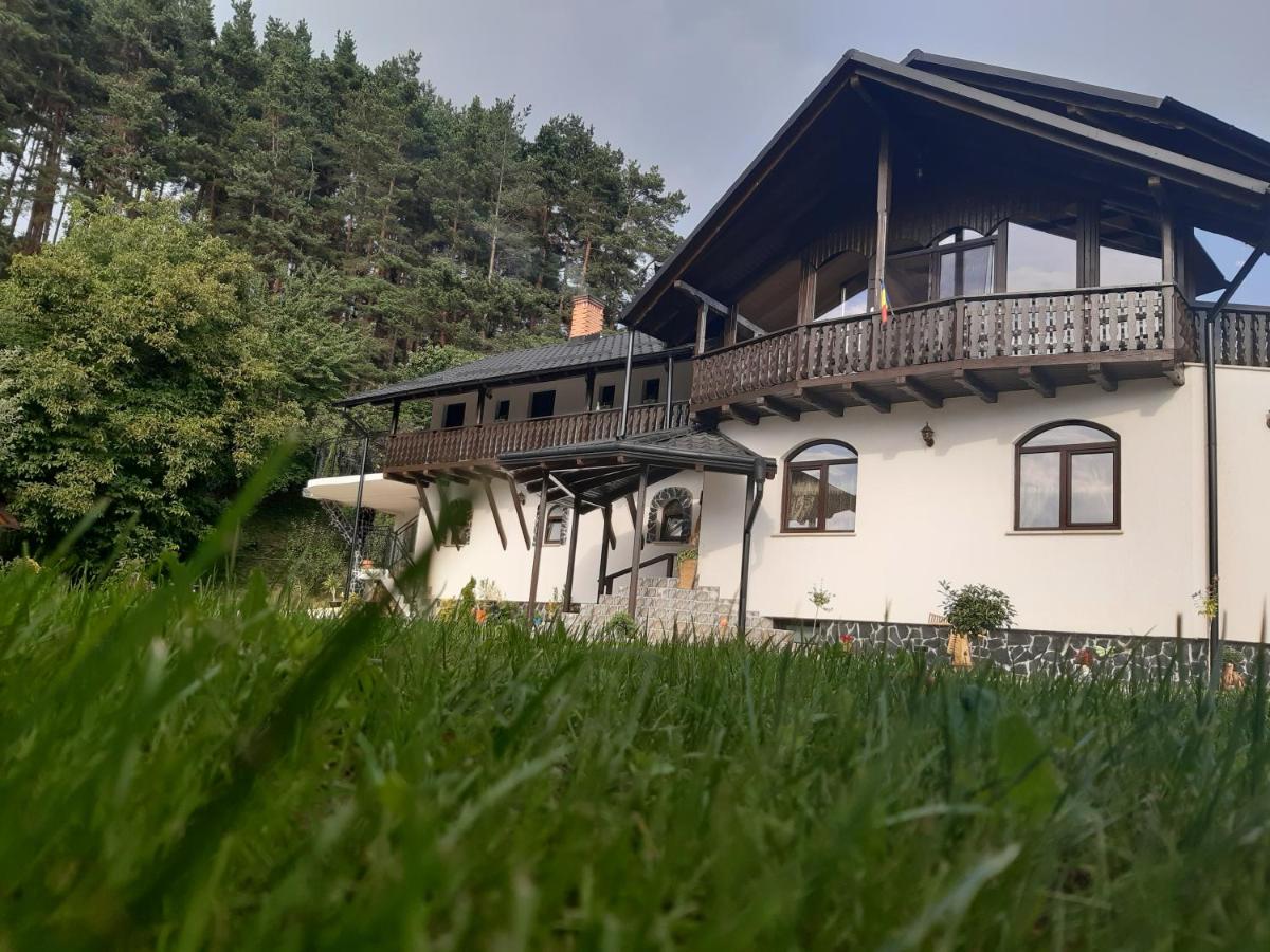 CASA DINTRE PINI - Housity