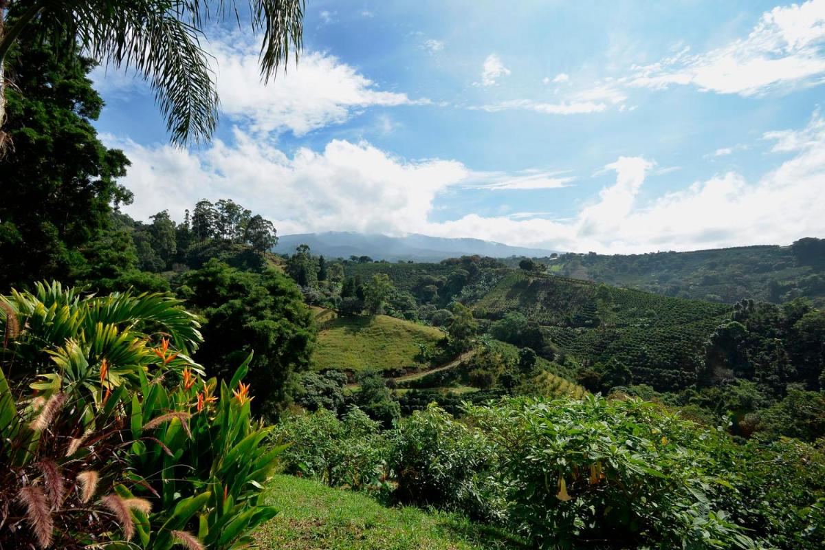 Supercostarica - Housity