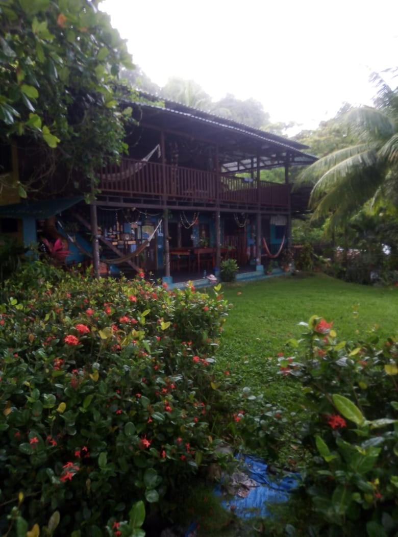 Luminosa Montezuma Hostel - Housity
