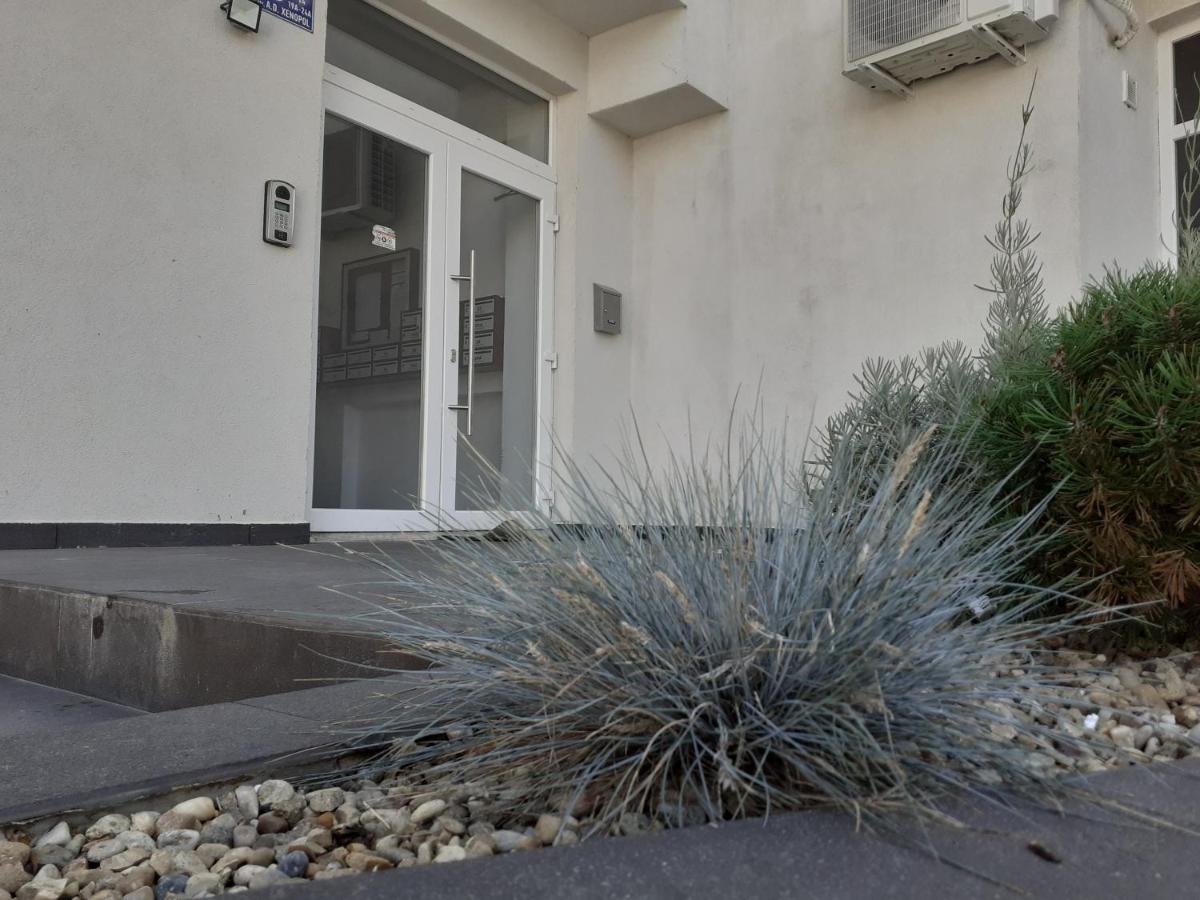 Urban Apartment - Housity