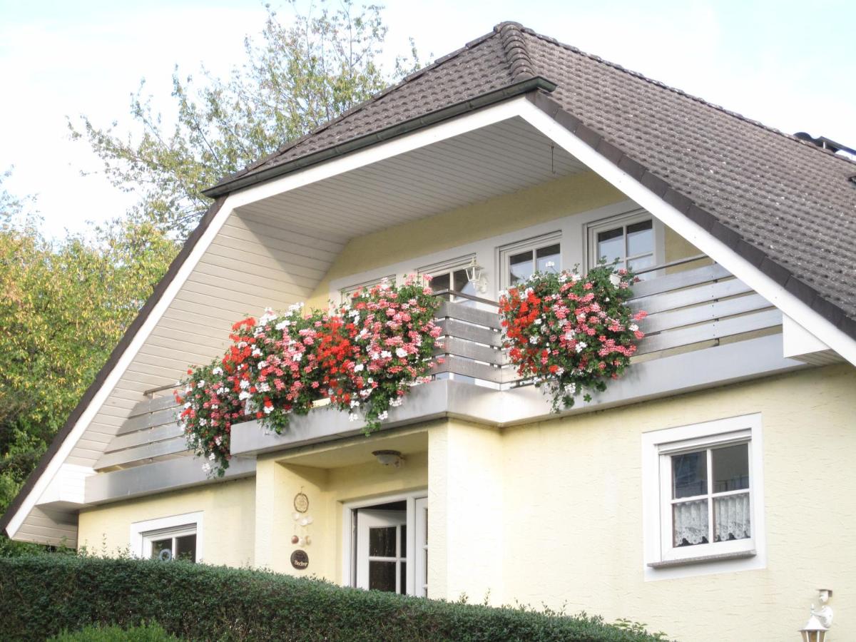 Apartment Lieserpfad-Wittlich - Housity