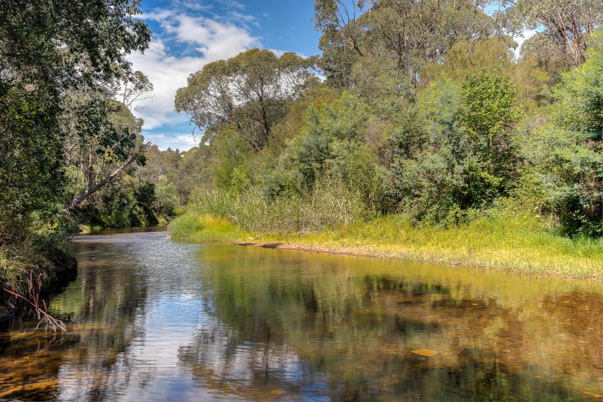 On the River, Porepunkah - Bright VIC - Housity