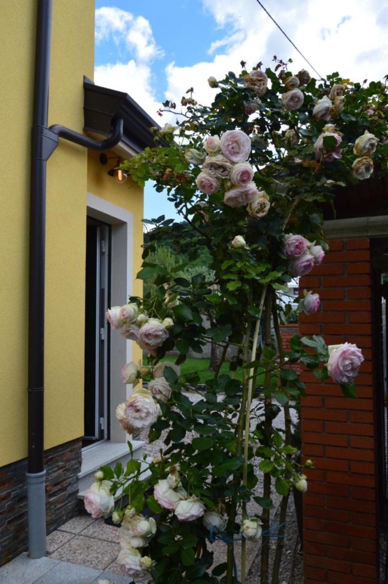 Suitetrails - Apartment Kancler