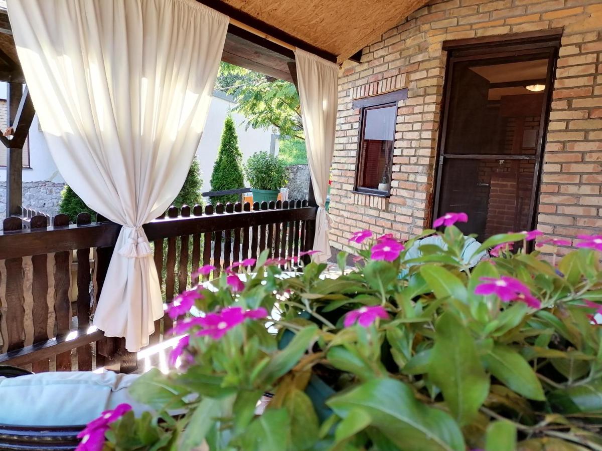 Apartman IVANA - Housity