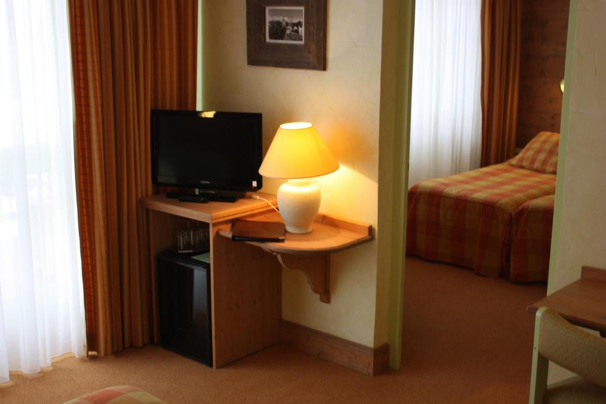 Télévision ou salle de divertissement dans l'établissement Hotel le Chalet