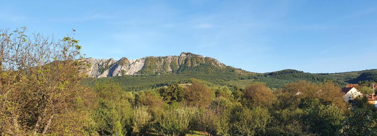 Suitetrails - Viola Apartman