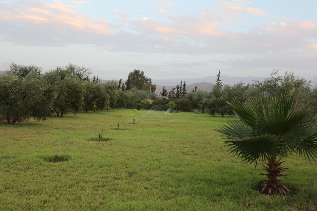 Domaine d'Amanouz - Hizvo