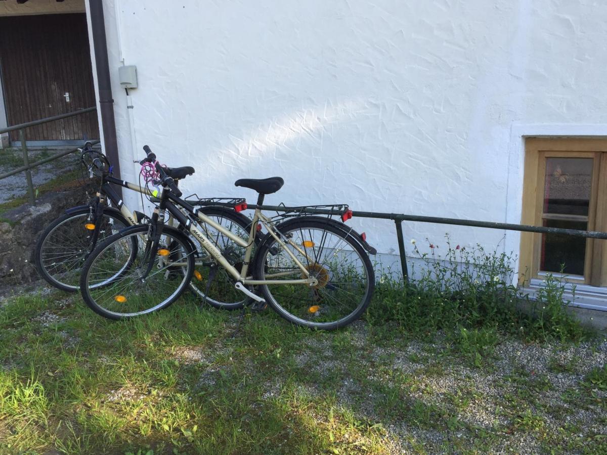Ferienwohnung an der Wolfsgrube - Housity