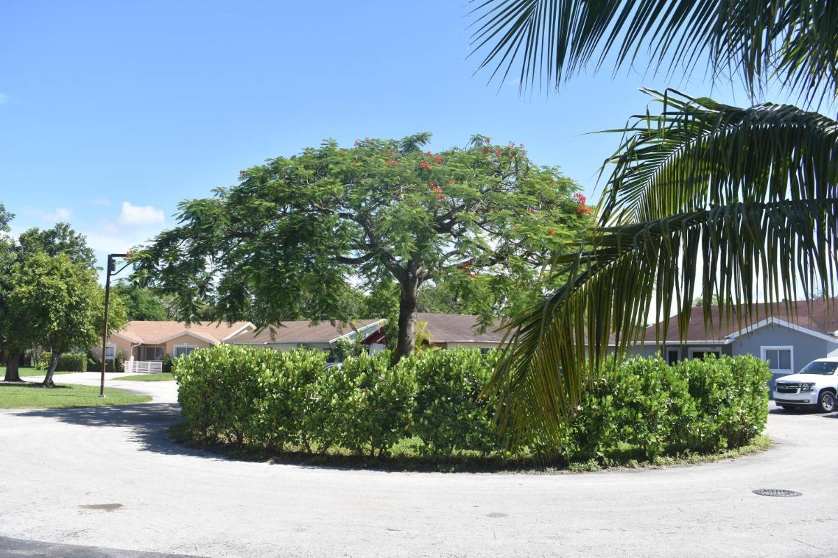 Miami nice - Housity