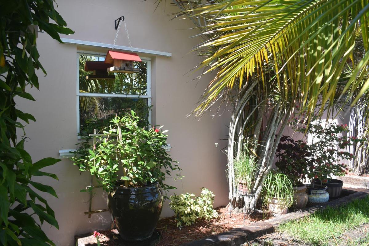 Miami nice - Housity
