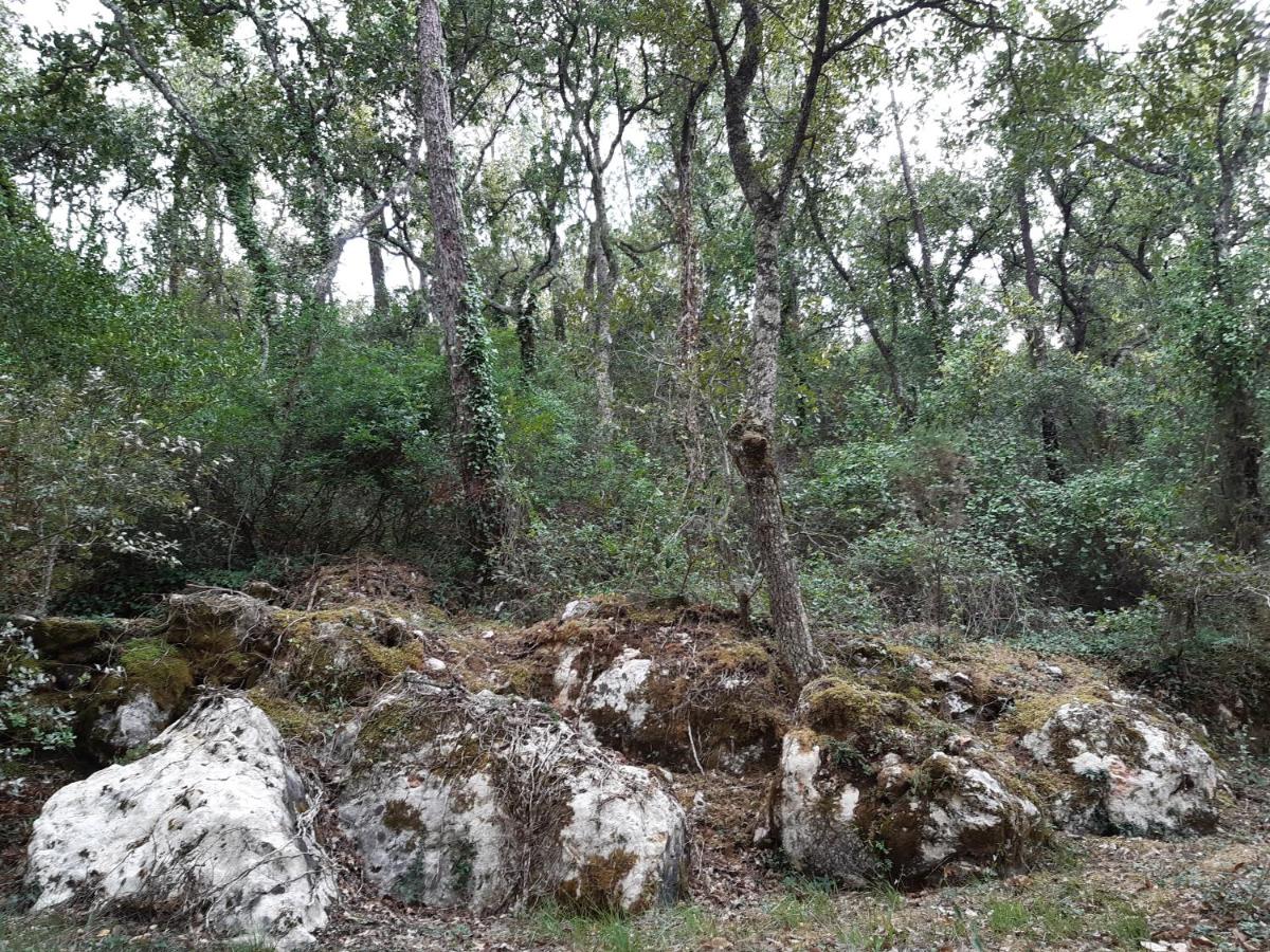 Casal do Morgado, country house to relax - Housity