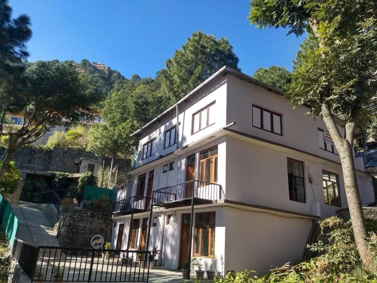 Headntail Kasauli - Housity