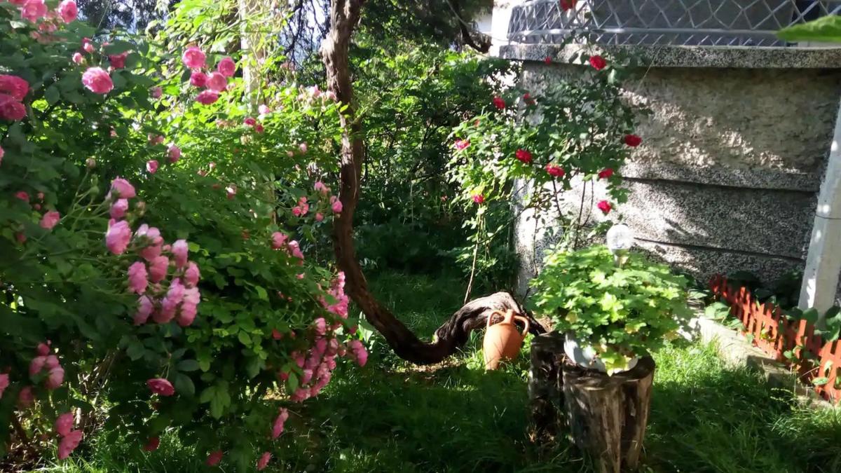 Belivanovi B&B House - Housity