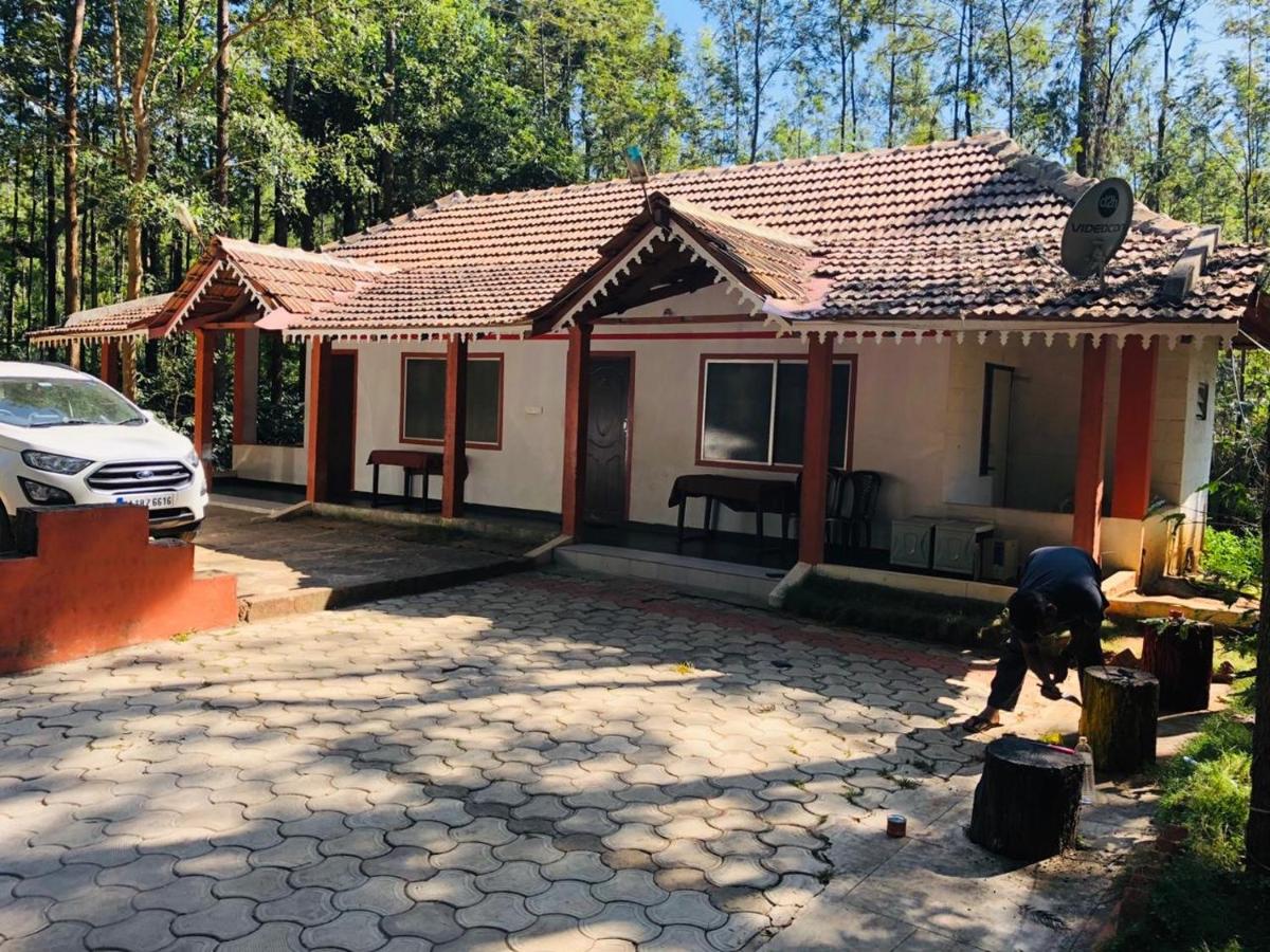 Silver Shadow Homestay - Housity