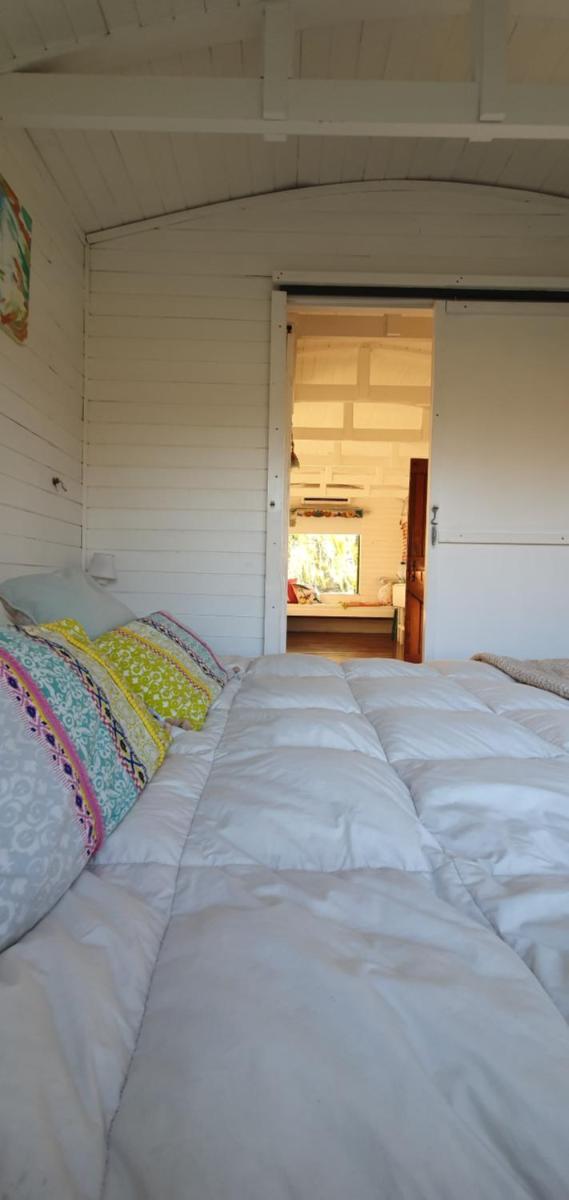 El Vagón B&B - Housity