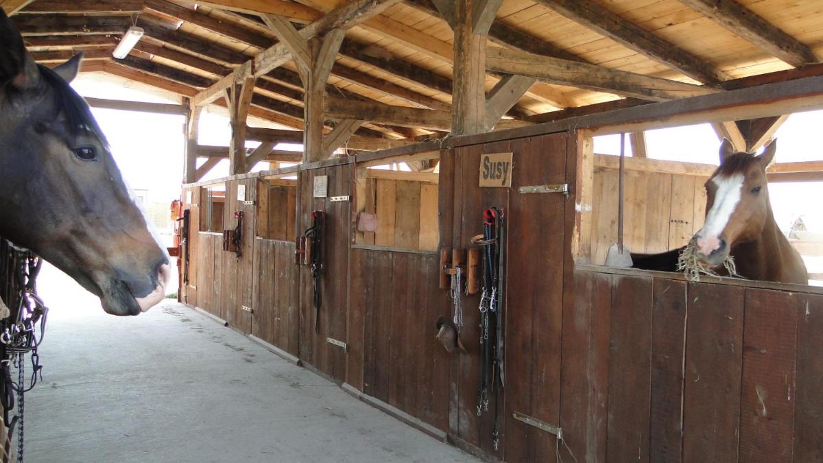 Agriturismo Tre Rondini - Housity