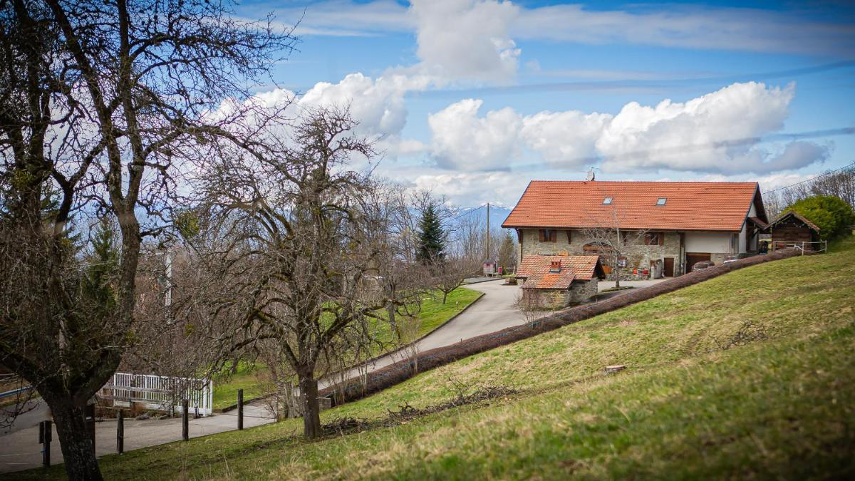 Le Bonheur dans le Pré - Housity