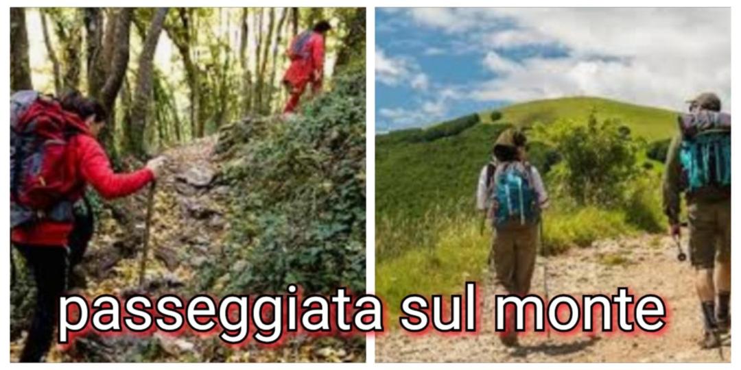 La collina dell'incanto - Housity