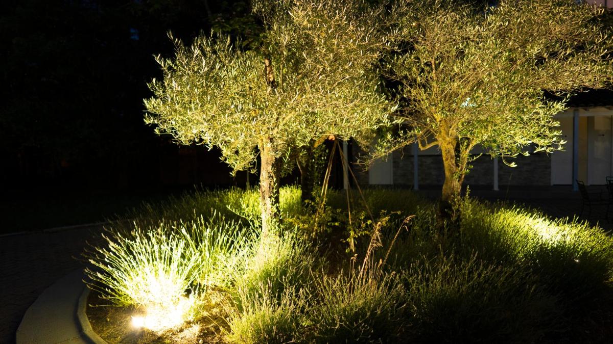 Jardin de l'établissement Logis Hotel Restaurant SPA Les Oliviers