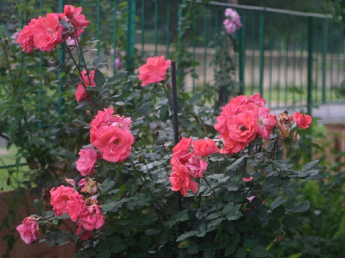 MS Self-Catering - Housity