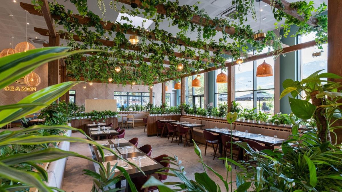 Woods Genève-Thoiry - Housity