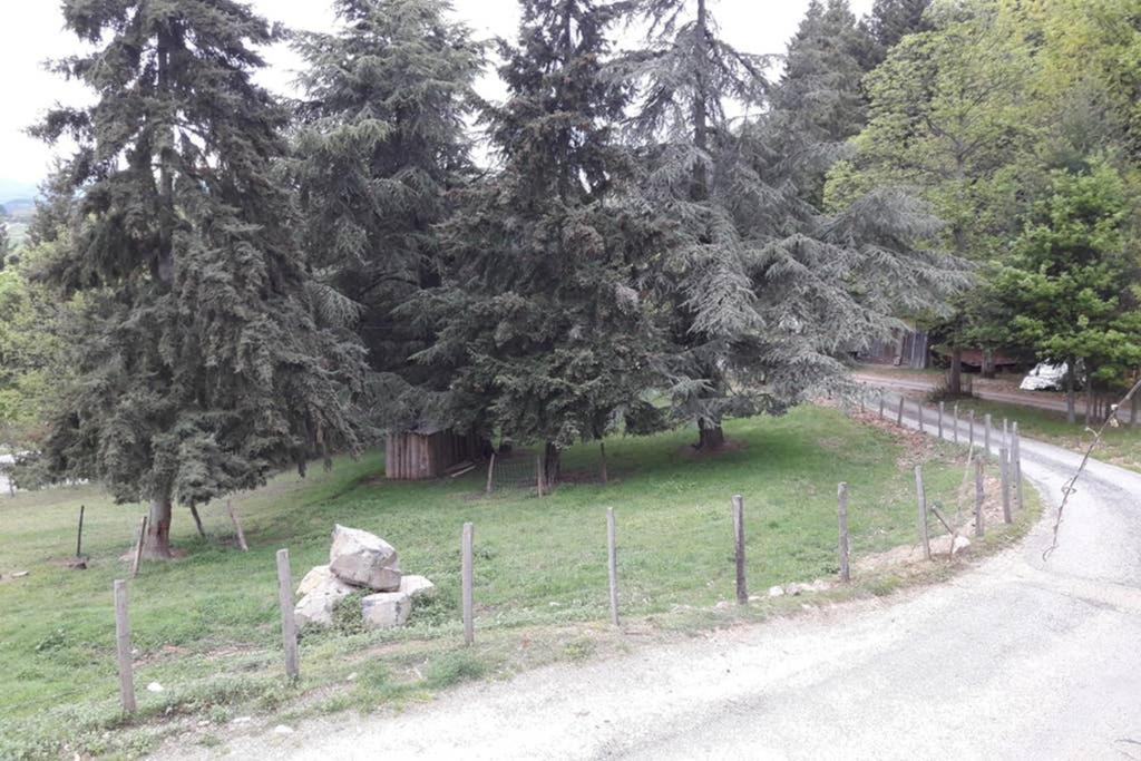Gîte Le Pilat - Housity