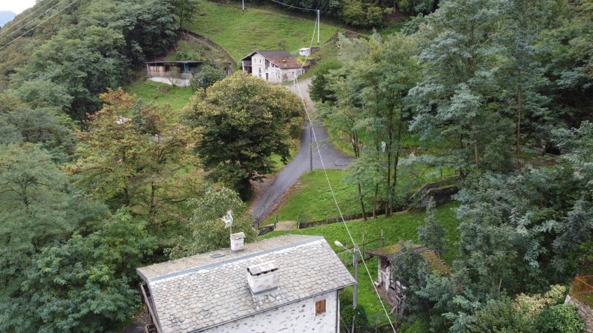 B&B Al Carotin - Housity