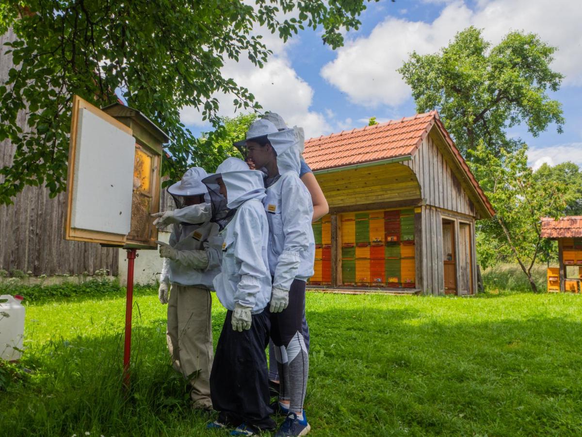 Beekeeping Kojek - Housity