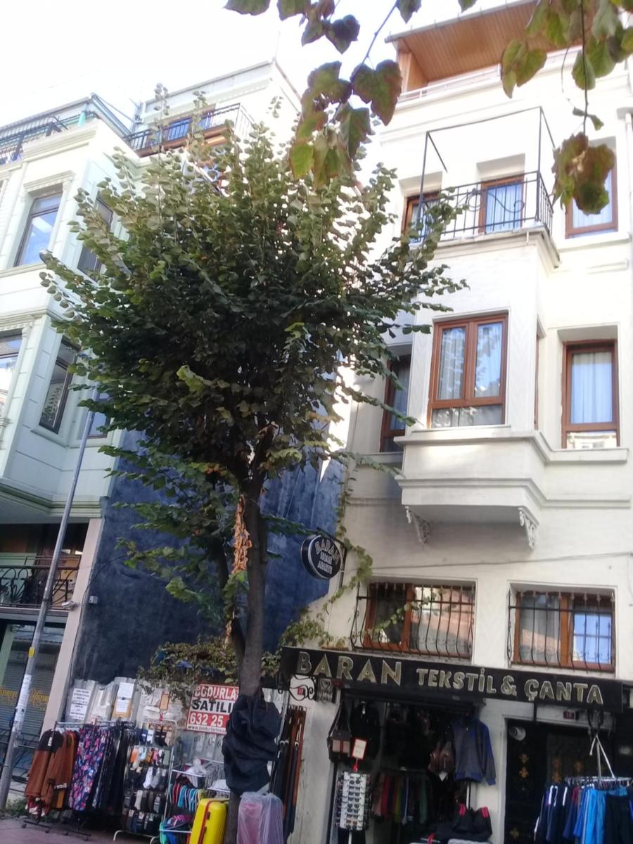 Baran Home Aparts - Housity
