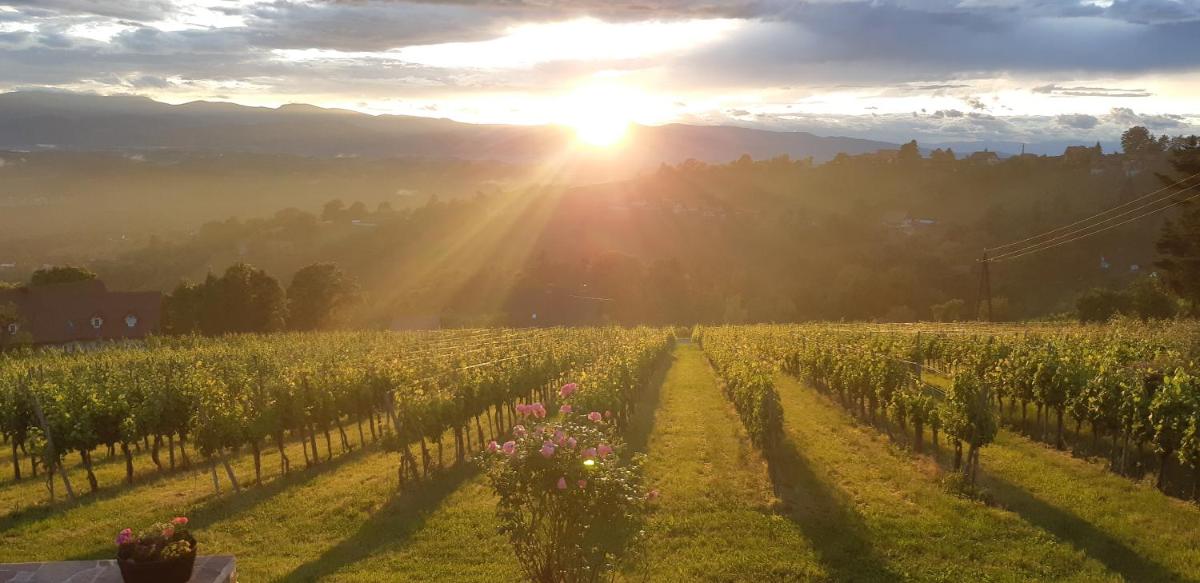 Wein- und Weitblick - Housity