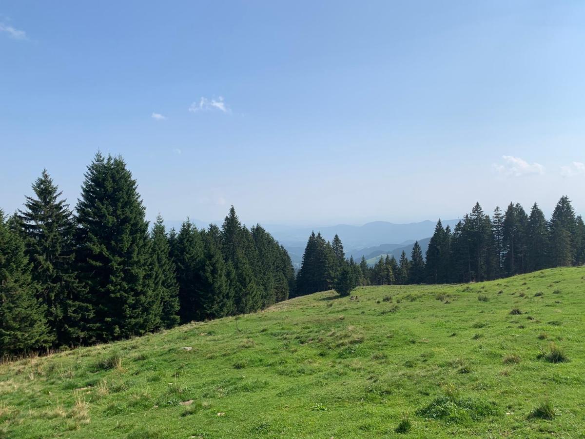 Apartma Ajdovka Rogla - Housity