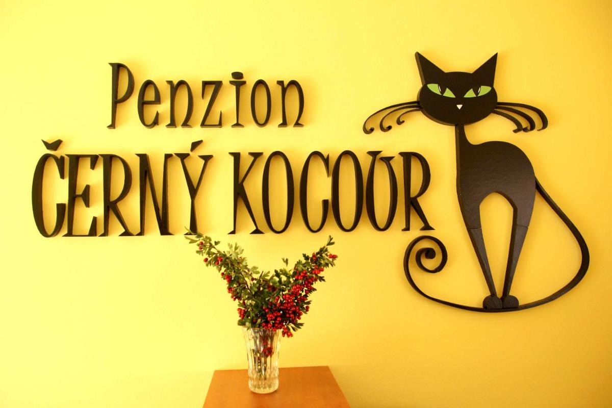 Černý Kocour Apart hotel - Housity