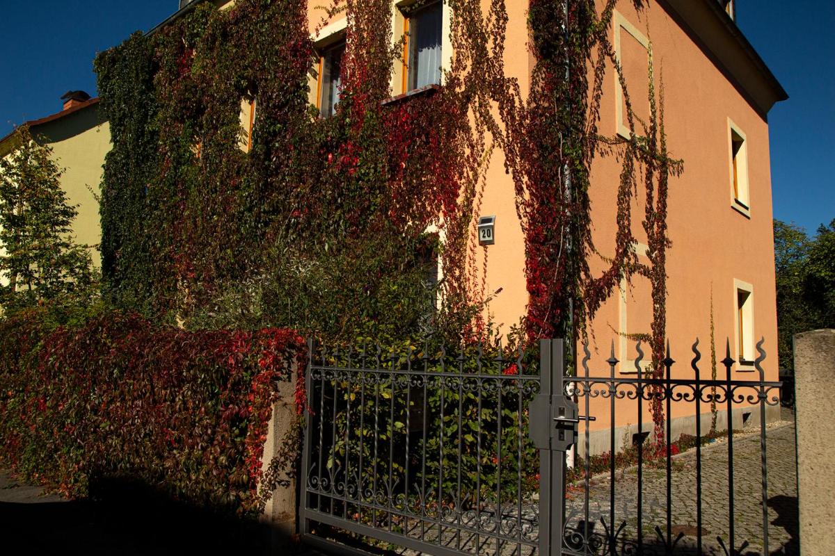 Frank´s Ferienwohnung in Dresden - Housity