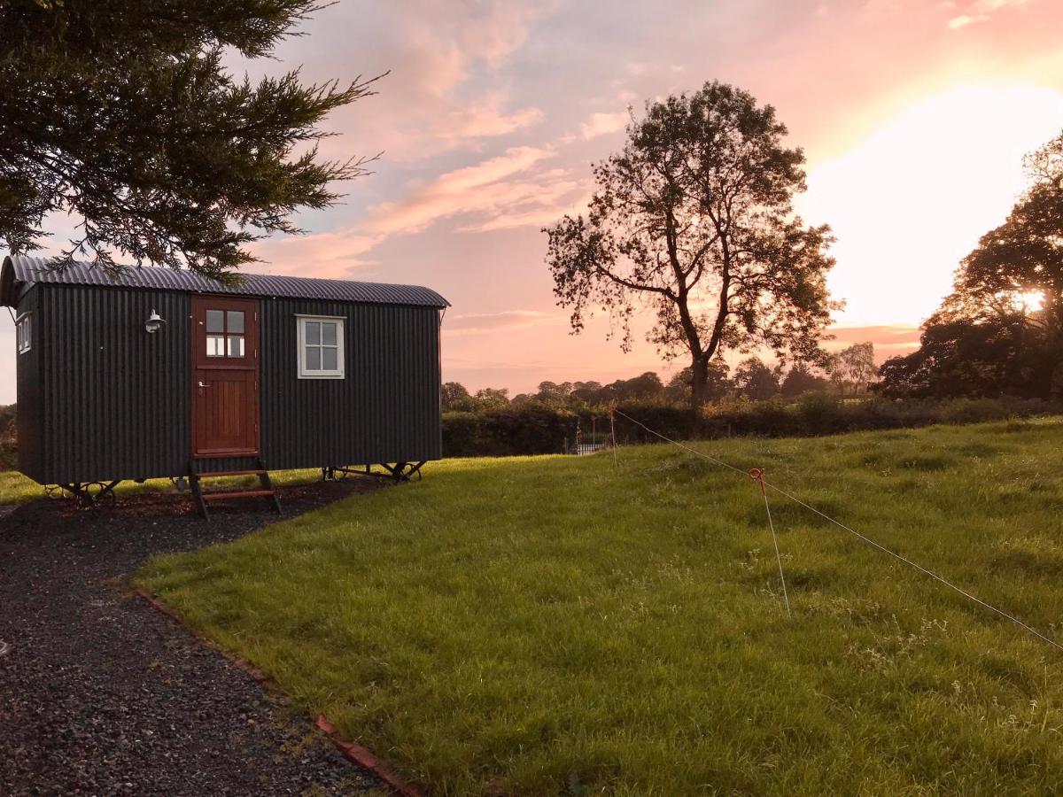 Sheelin Huts Blue, Hot-tub available From 1st April until 1st November - Housity