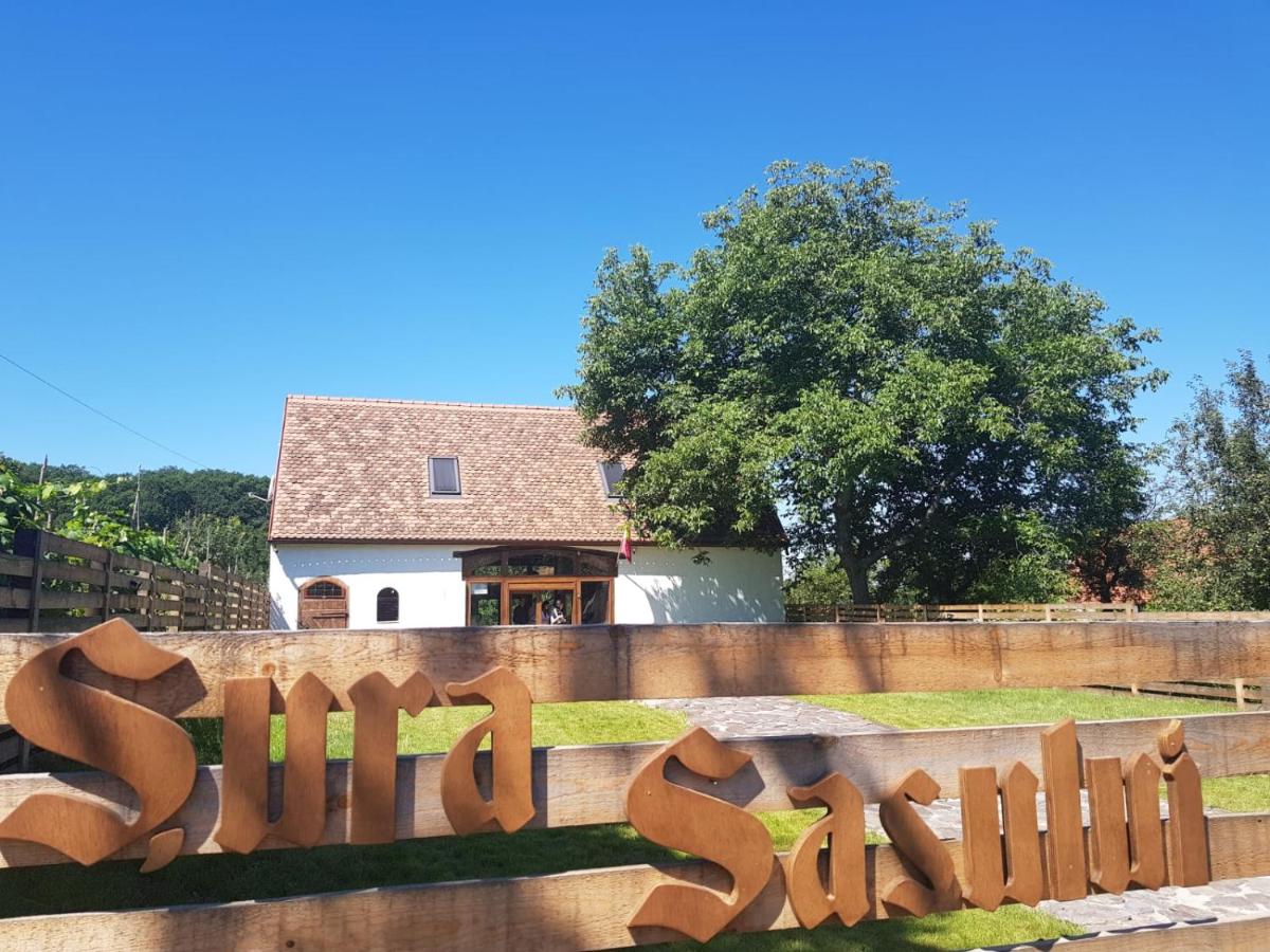Șura Sasului - Housity