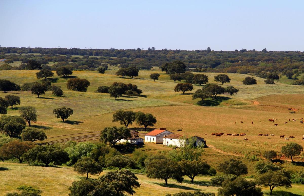 Paisagem natural perto do hotel