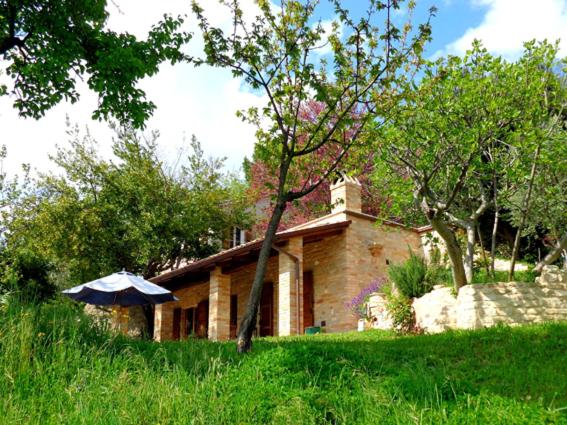 Il Piccolo Gioiello - Housity