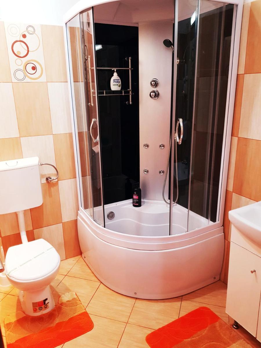Pensiunea Red Rose Apartments - Housity