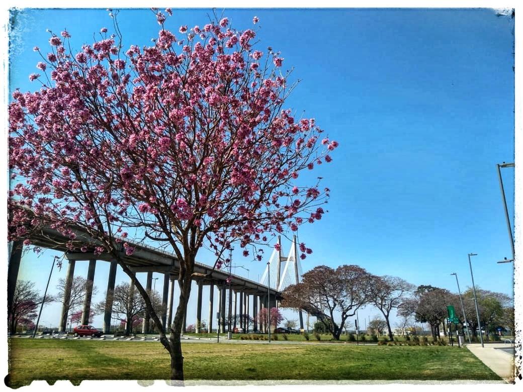 La Vilma Hospedaje Familiar - Housity