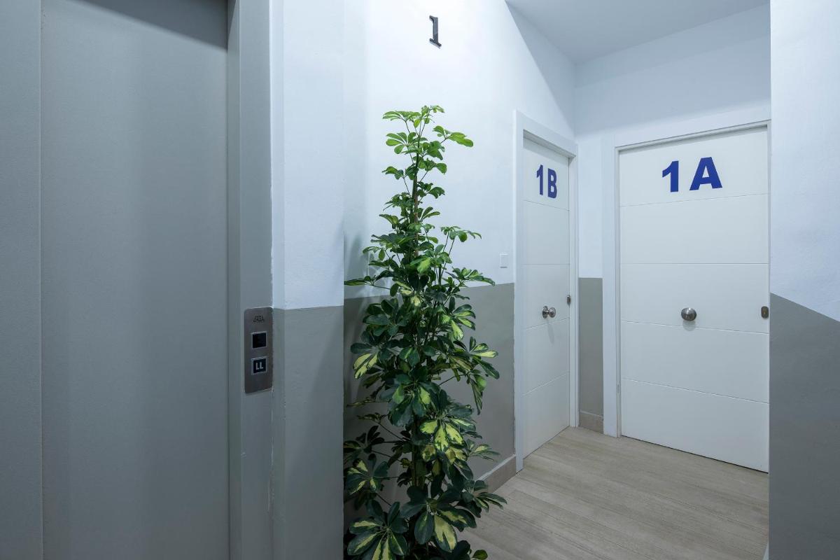 ROSE Apartamentos - Housity