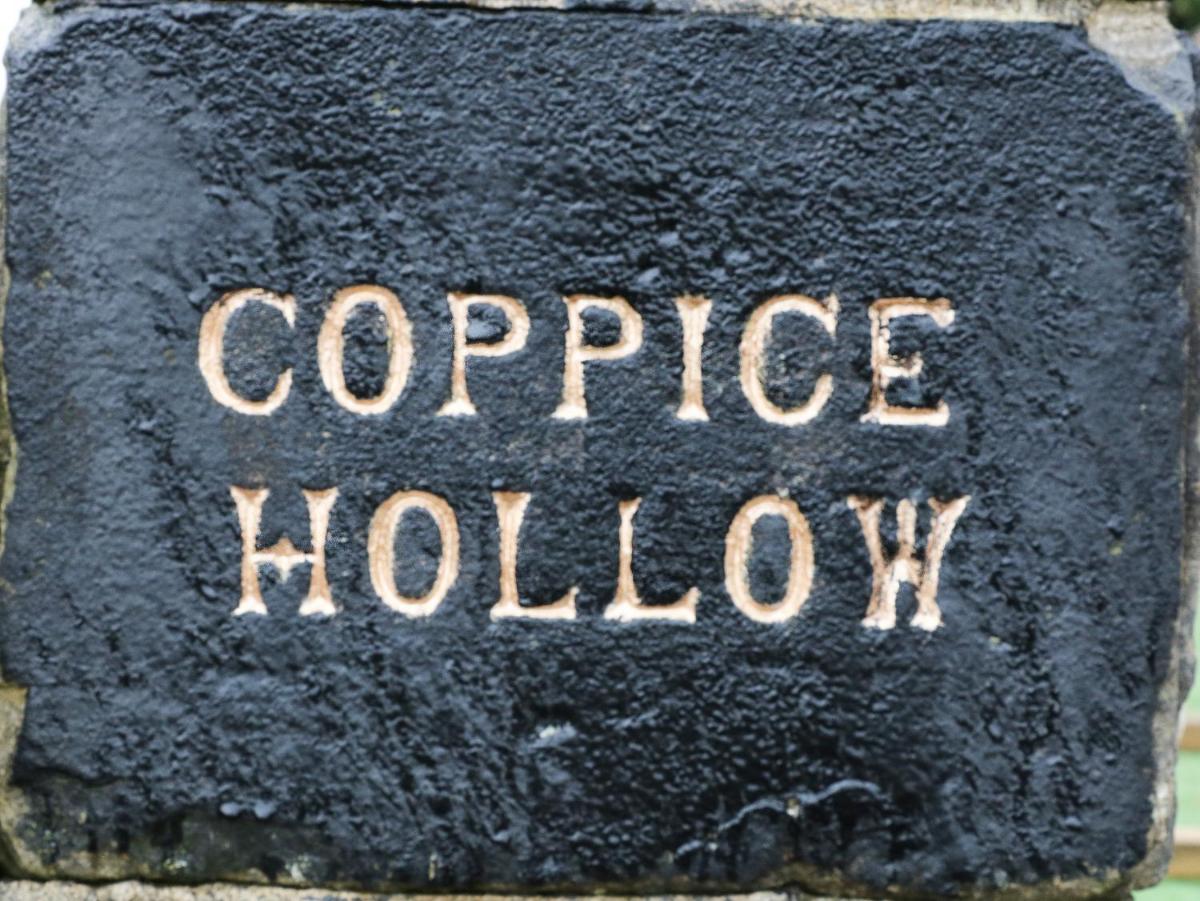 Coppice Hollow - Housity
