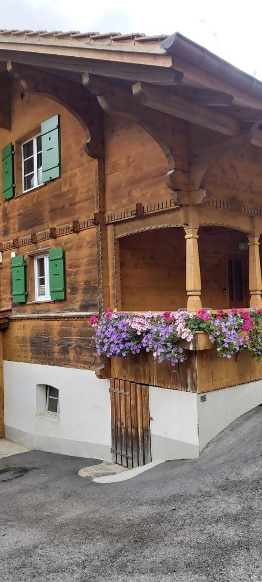 Mountain Village Room - Housity
