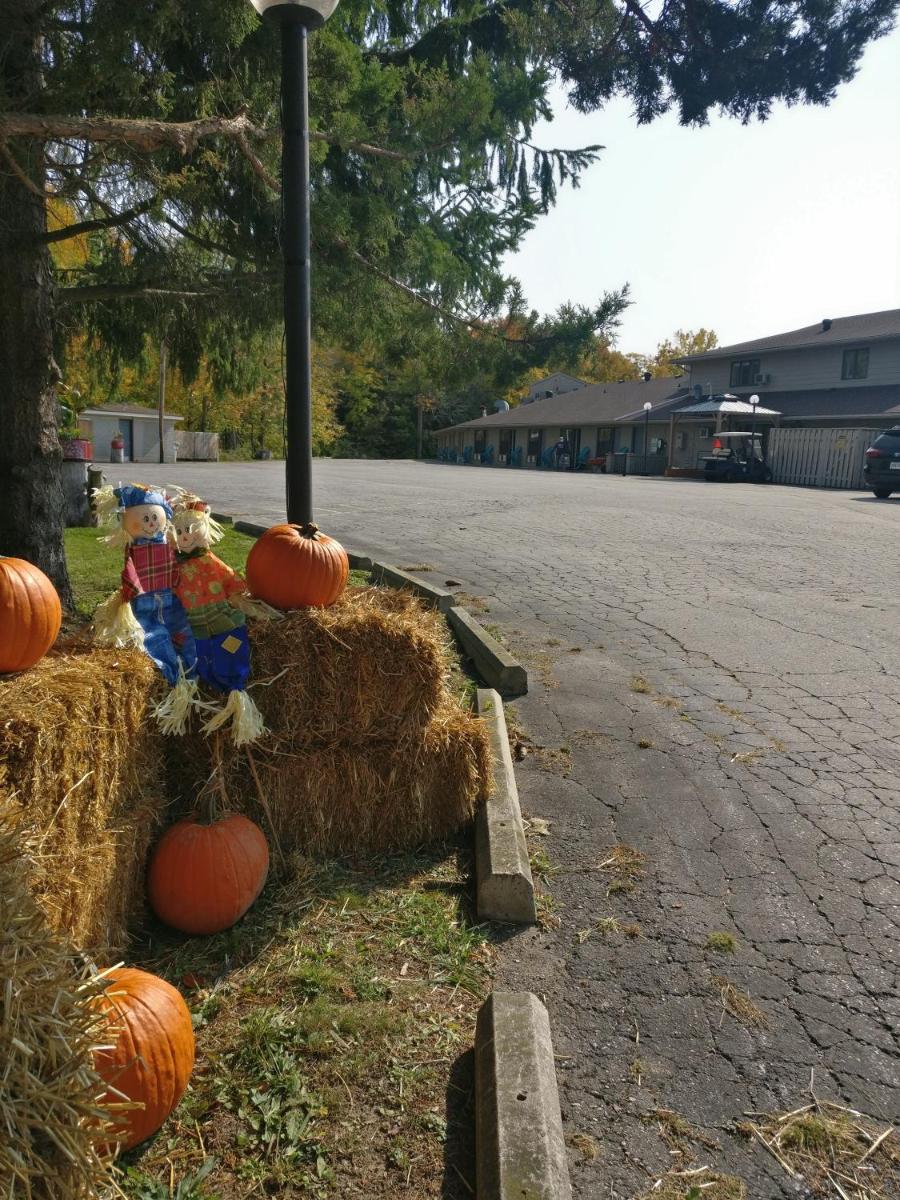 THE ASHWOOD INN - Housity