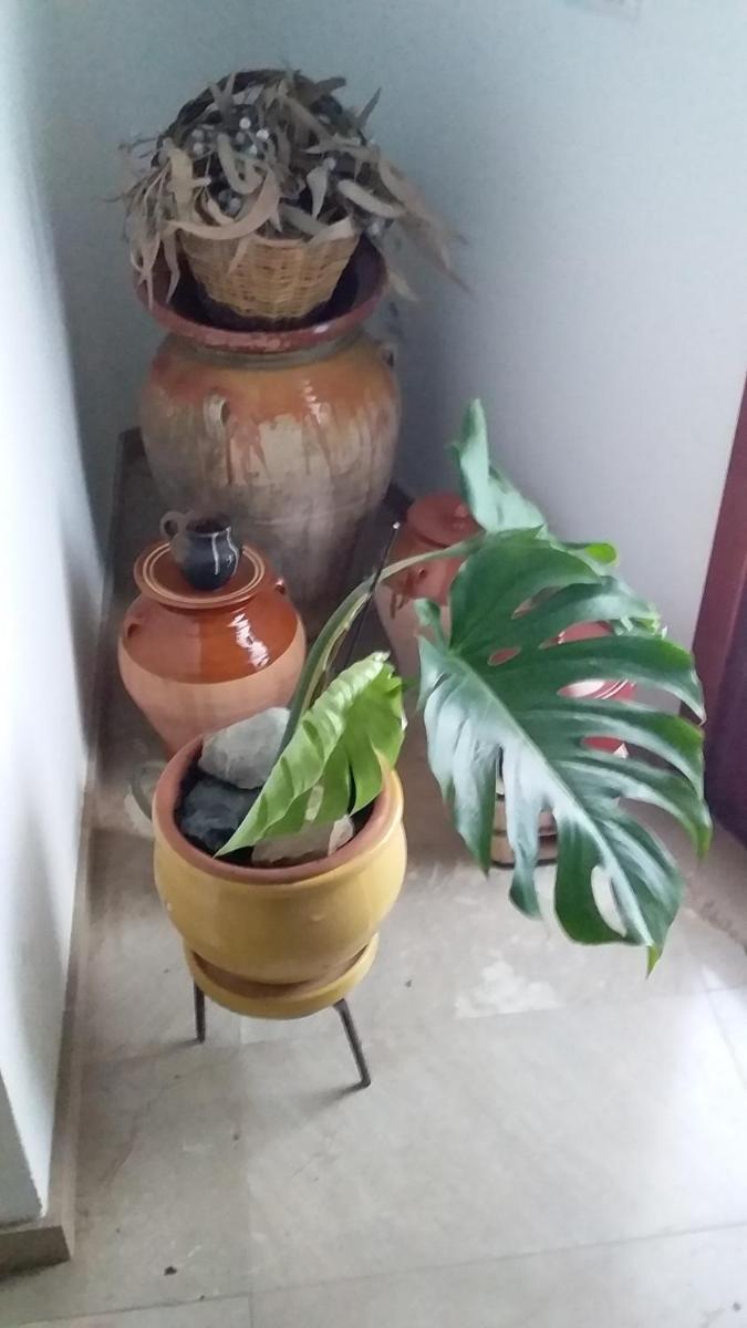 Loft Castelló - Housity